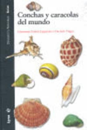 Conchas y Caracolas del Mundo