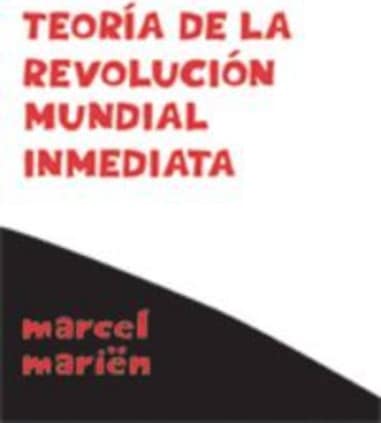 Teoría de la revolución mundial inmediata