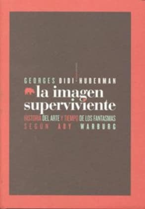 La imagen superviviente