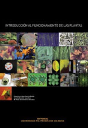 INTRODUCCIÓN AL FUNCIONAMIENTO DE LAS PLANTAS