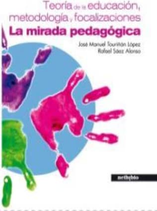 TEORÍA DE LA EDUCACIÓN, METODOLOGÍA Y FOCALIZACIONES. LA MIRADA PEDAGÓGICA