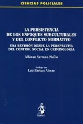 LA PERSISTENCIA DE LOS ENFOQUES SUBCULTURALES Y DEL CONFLICTO NORMATIVO