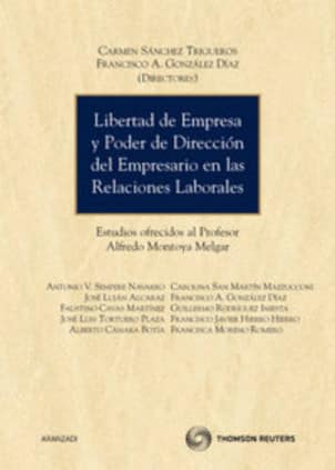 Libertad de empresa y poder de dirección del empresario en las relaciones laborales - Estudios ofrecidos al profesor Alfredo Mon