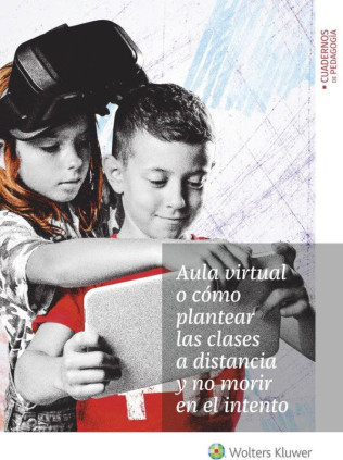 AULA VIRTUAL O COMO PLANTEAR LAS CLASES