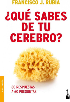 ¿Qué sabes de tu cerebro?