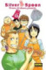 SILVER SPOON 13