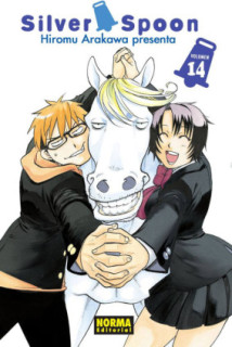 Silver Spoon 14