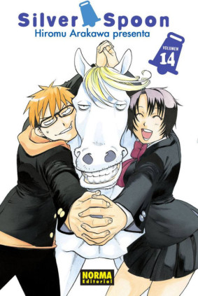 Silver Spoon 14
