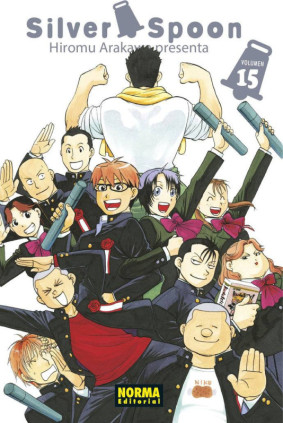 SILVER SPOON 15
