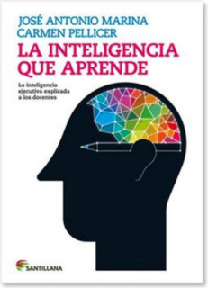 LA INTELIGENCIA QUE APRENDE EXPLICADA A LOS DOCENTES