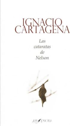 LAS CATARATAS DE NELSON