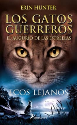 ECOS LEJANOS (GATOS: AUGURIO 2)