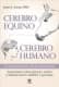 CEREBRO EQUINO CEREBRO HUMANO