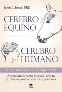 CEREBRO EQUINO CEREBRO HUMANO
