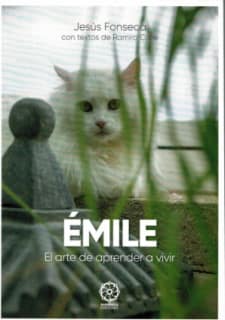 Emile el arte de aprender a vivir