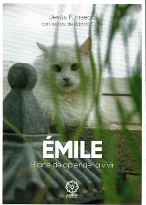 Emile el arte de aprender a vivir