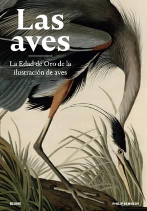 LAS AVES EDAD ORO ILUSTRACION DE AVES