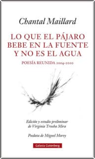 Lo que el pájaro bebe en la fuente y no es el agua