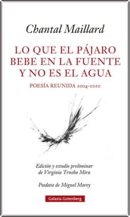 Lo que el pájaro bebe en la fuente y no es el agua