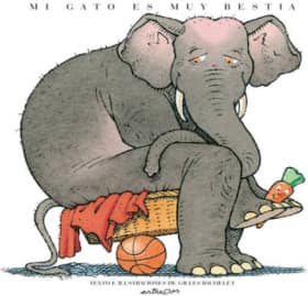 MI GATO ES MUY BESTIA