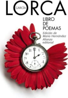 Libro de poemas