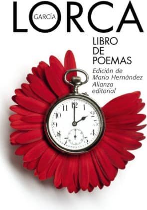 Libro de poemas