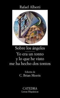 Sobre los ángeles Yo era un tonto y lo que he visto me ha hecho dos tontos