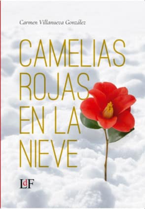 Camelias rojas en la nieve