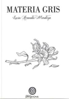 Materia gris