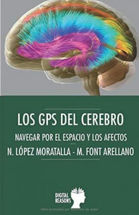 Los GPS del cerebro