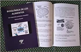 BIOQUIMICA DE LOS ALIMENTOS