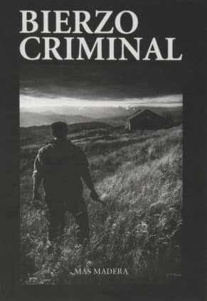 BIERZO CRIMINAL