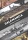 Salamanca. Identidad e imagen