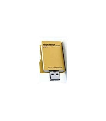 Sistemas de archivo y clasificación de documentos. UF0347