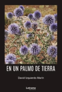 En un palmo de tierra