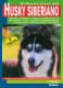 Husky siberiano
