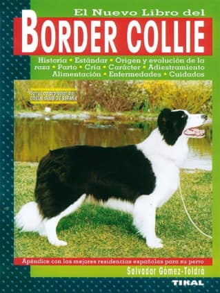 Border collie