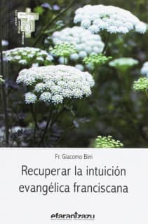 Recuperar la intuición evangélica franciscana