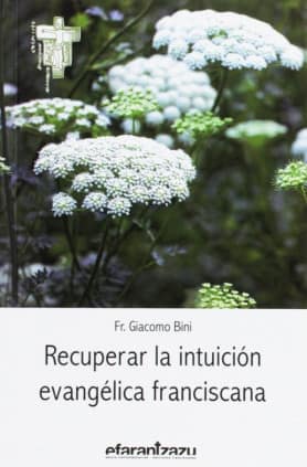 Recuperar la intuición evangélica franciscana