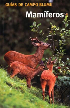 Gu¡a Campo Mam¡feros