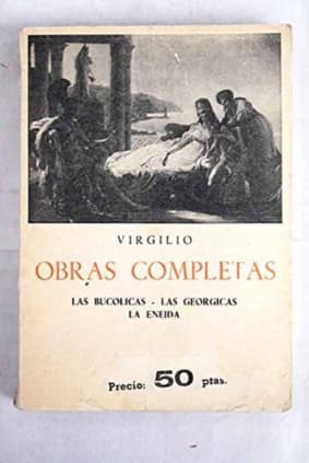 Obras completas vicente risco t.vii