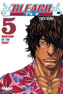 Bleach nº5