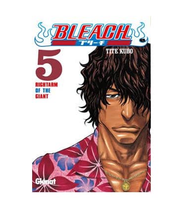 Bleach nº5
