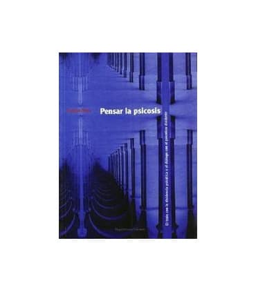 Pensar la psicosis