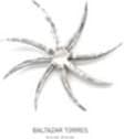 Baltazar Torres