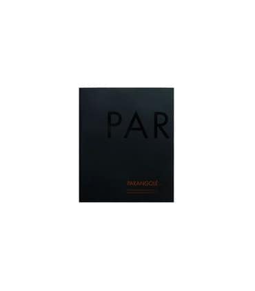 Parangolé. Fragmentos desde los 90: Brasil