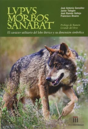 LUPUS MORBOS SANABAT