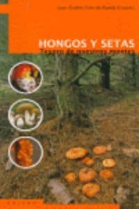 Hongos y setas