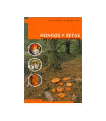 Hongos y setas