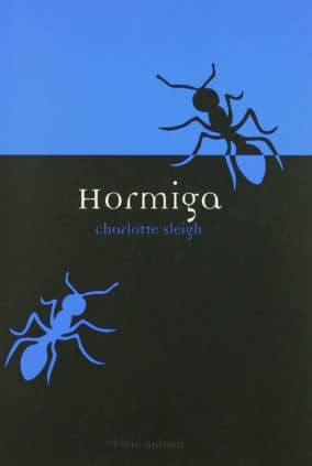 Hormiga
